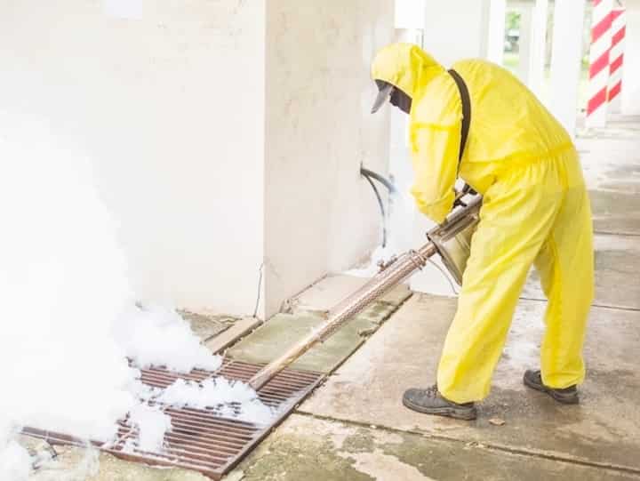 Expert Water Damage Repair Service Near Me