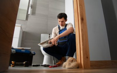 Professional Basement Flood Cleanup Near Me Fast & Reliable Services
